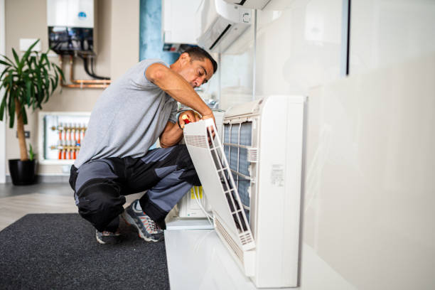 Best Emergency Air Duct Cleaning  in Dayton, VA